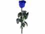 Rose éternelle avec tige - bleu
