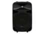 enceinte 2 voies de salon HQ power VDS10N 10 pouces 130 W