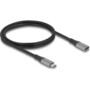 Rallonge USB-C 4.0 1 m de la marque DeLock