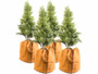 Pack de 4 housses d’hivernage pour plantes de 50 x 45 cm de la marque Royal Gardineer
