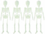 4 Squelettes phosphorescents ''Spooky Bones'' 32 cm