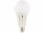 Ampoule LED E27 High Power 24 W / 2250 lm - blanc chaud Luminea