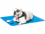 Petit tapis rafraîchissant SweetyPet pour chiens et chats.