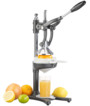 presse agrumes à levier pour agrumes ornages pamplemousses citrons grenades avec éléments amovibles rosenstein