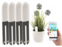 Lot de 4 capteurs multifonction SUN-141 pour plantes par Royal Gardineer.