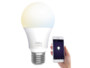 Ampoule LED LAV-110.w connectée par application mobile.
