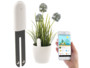 detecteur de croissance pour plantes avec surveillance lumiere temperature humidité et application royal gardineer