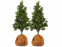 2 housses d'hivernage pour pot 40 x 40 cm de la marque Royal Gardineer