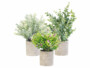 3 plantes artificielles en pot