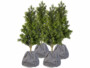 4 housses d'hivernage pour pots de fleurs 50 x 45 cm coloris anthracite de la marque Royal Gardineer