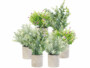 6 fausses plantes en pots 21 / 23 / 26 cm de la marque Carlo Milano
