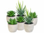 6 succulentes artificielles en pots 8 / 9 / 15 cm Carlo Milano