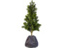 Housse d'hivernage pour pot 50 x 45 cm de la marque Royal Gardineer