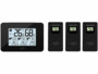 Station météo sans fil FWS-450 avec 3 capteurs externes