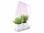2 mini potagers avec lampe de croissance et réservoir d'eau