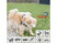 repousse animaux et nuisibles par ultrason avec detecteur mouvements infrarouge chargeur solaire et piquet photo avec chien