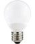 Image article Ampoule globe 24 LED SMD E27 blanc froid