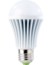 Image article Ampoule LED High-Power 9 W E27 blanc chaud