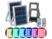 Image article 2 projecteurs solaires à LED RVBB 10 W avec télécommande