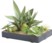 Image article Tableau végétal artificiel avec cadre - Succulentes - 30 x 20 cm