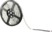 Image article Bande lumineuse 300 LED SMD (RVB + blanc), 5 m ''LX-500N'' - intérieur