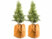 Image article 2 housses d’hivernage pour pot 50 x 45 cm