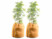 Image article 2 housses d’hivernage pour pot 70 x 65 cm