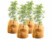 Image article 4 housses d’hivernage pour pot 70 x 65 cm