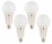 4 ampoules LED E27 High Power 23 W - 2452 lm - Blanc jour