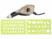 Image article Graveur 13W avec pointe en carbure 6000 tours/min