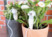 10 doseurs d'irrigation pour pots de fleurs, avec pointe en argile et tuyau