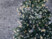 Guirlande lumineuse pour intérieur et extérieur - Blanc chaud - 4 m