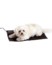 Image article Couverture Chauffante Pour Animaux