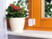 Mini alarme VisorTech mise en place sur le rebord extérieur d'une fenêtre en bois, à côté d'un pot de fleur blanc cachant le dispositif anti-intrusion, fixé par bande adhésive ou vis et alimenté par piles bouton LR44