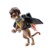 Image article Scooby-Doo Pilote avec son jetpack