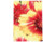 Fleurs bicolore rouges et jaunes imprimées en photo format portrait A3 sur du papier photo brilant premium