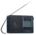 Récepteur radio analogique mondial TAR-605