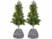 Image article 2 housses d’hivernage pour pot de fleur - 40 x 40 cm - Anthracite