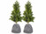 Image article 2 housses d’hivernage pour pot de fleur - 70 x 65 cm - Anthracite