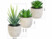 3 succulentes artificielles en pots avec dimensions