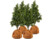 Image article 4 housses d’hivernage pour pot de fleur - 40 x 40 cm - Marron