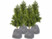 Image article 4 housses d’hivernage pour pot de fleur - 70 x 65 cm - Anthracite