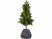 Image article Housse d’hivernage pour pot de fleur - 40 x 40 cm - Anthracite