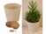 Image article Kit de culture pour sapin de Noël avec 10 graines