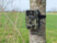 caméra nomade fixé à un tronc d'arbre pour observer les animaux