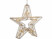 Image article Étoile lumineuse 1440 LED animées blanc chaud