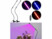 Image article 2 lampes horticoles LED rouges et bleues avec col de cygne PL-350