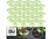 Image article 24 anneaux anti-limaces
