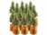 Image article 12 housses d’hivernage pour pot 50 x 45 cm