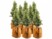 Image article 8 housses d’hivernage pour pot 50 x 45 cm